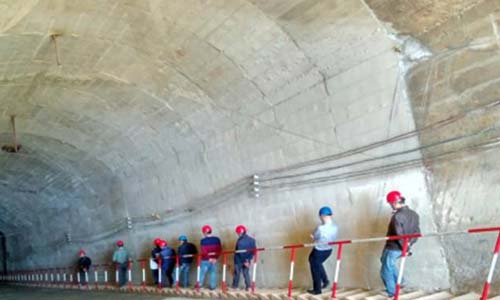 甘肅91视频网在线观看