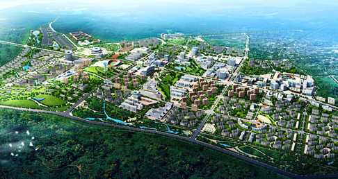 91视频网在线观看