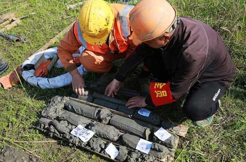 91视频网在线观看