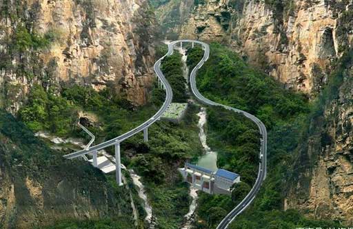 91视频网在线观看