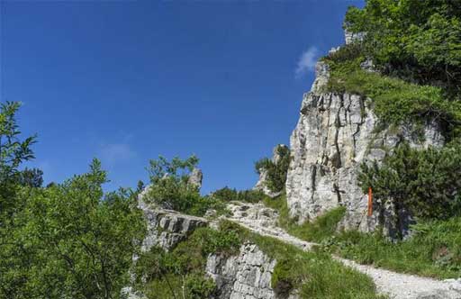 91视频网在线观看