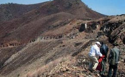 甘肅91视频网在线观看包括哪些內容 甘肅91视频网在线观看包括哪些內容